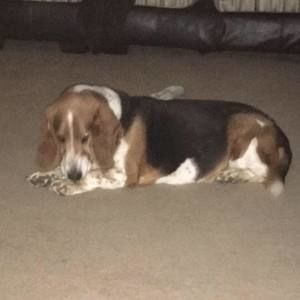 Meet your Posher, Elaine